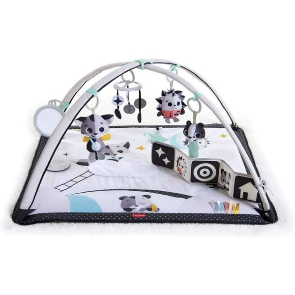 TIN-TO-Gymini-Tiny-Love-