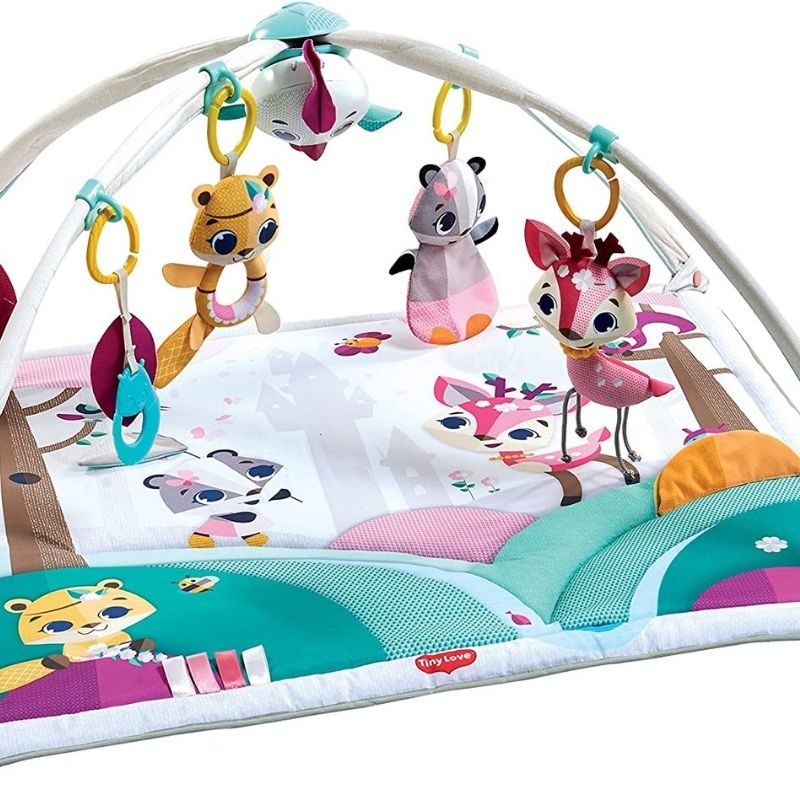Deluxe Gymini Activity Mat Tiny Princess