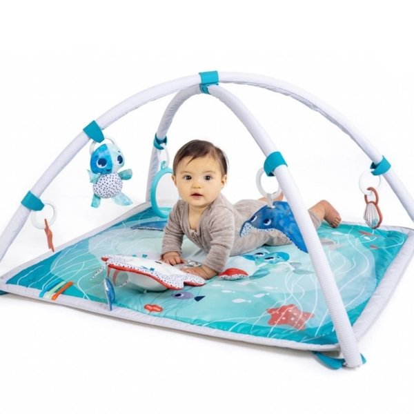 Treasure the Ocean 2-in-1 Musical Mobile Gymini