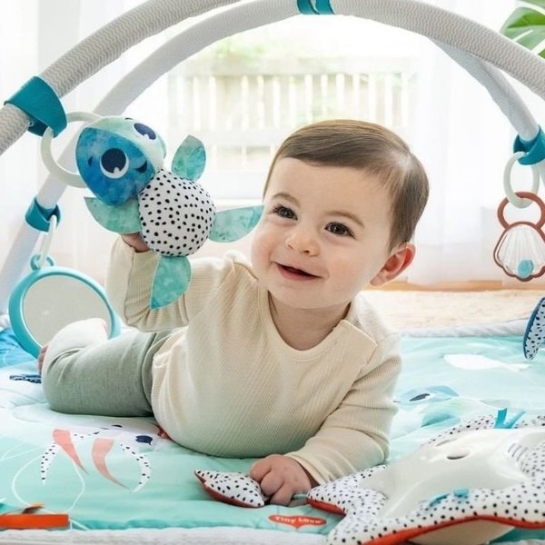 Treasure the Ocean 2-in-1 Musical Mobile Gymini