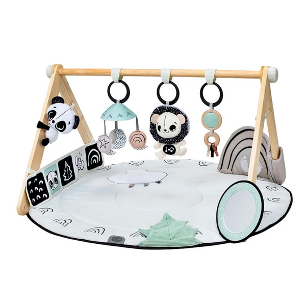 Black & White Décor Luxe Developmental Gymini | Snuggle Bugz