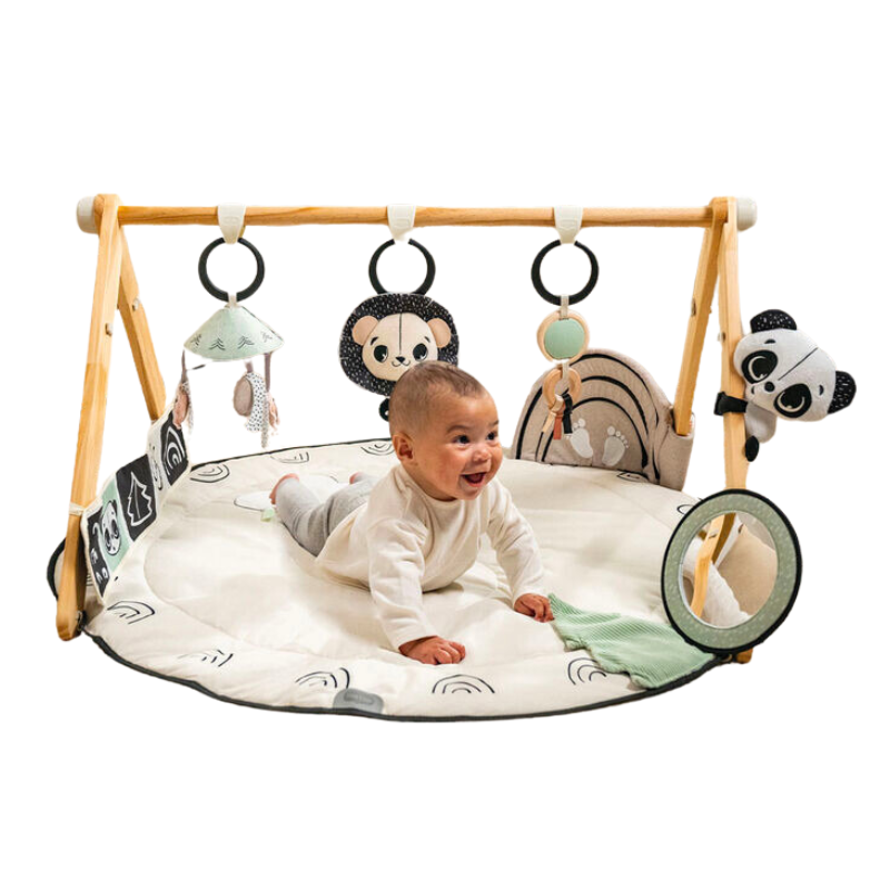 Black & White Décor Luxe Developmental Gymini