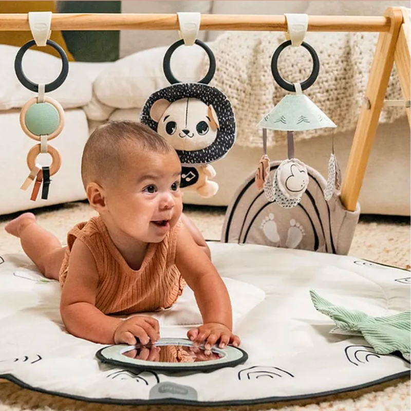 Black & White Décor Luxe Developmental Gymini