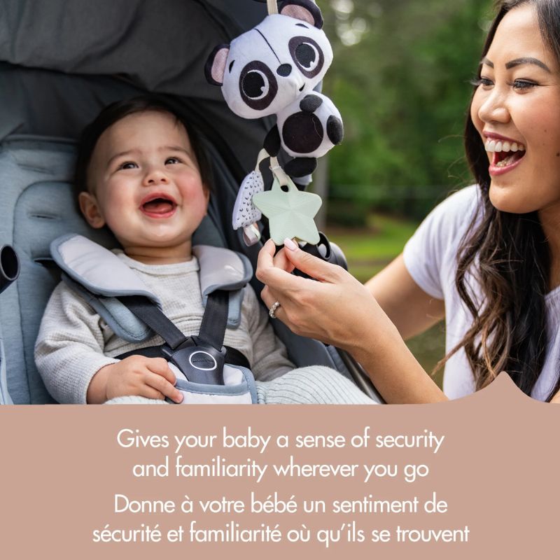 Panda Take Along Rattle Toy