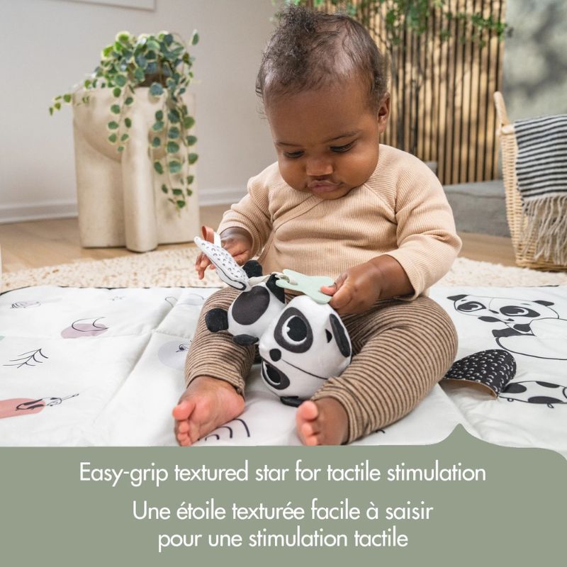 Panda Take Along Rattle Toy