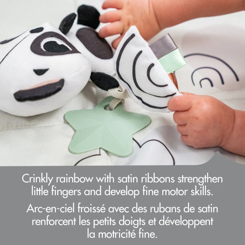Panda Take Along Rattle Toy
