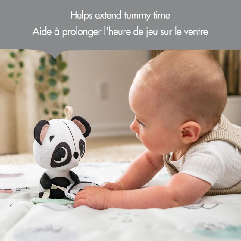 Panda Take Along Rattle Toy