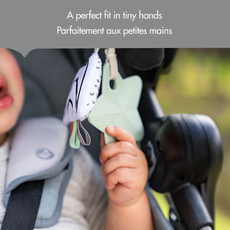 Panda Take Along Rattle Toy