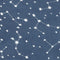 Stellar Denim