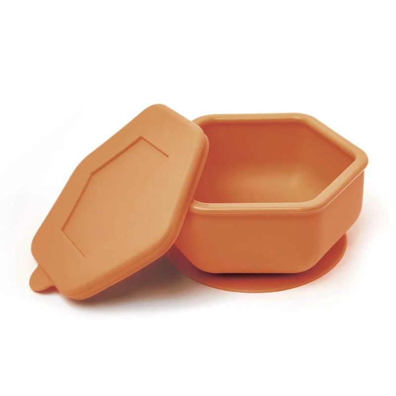 Silicone Bowl and Lid Set