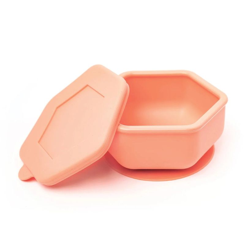 Silicone Bowl and Lid Set