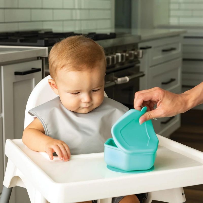 Silicone Bowl and Lid Set