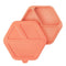 Silicone Suction Plate & Lid Set Coral