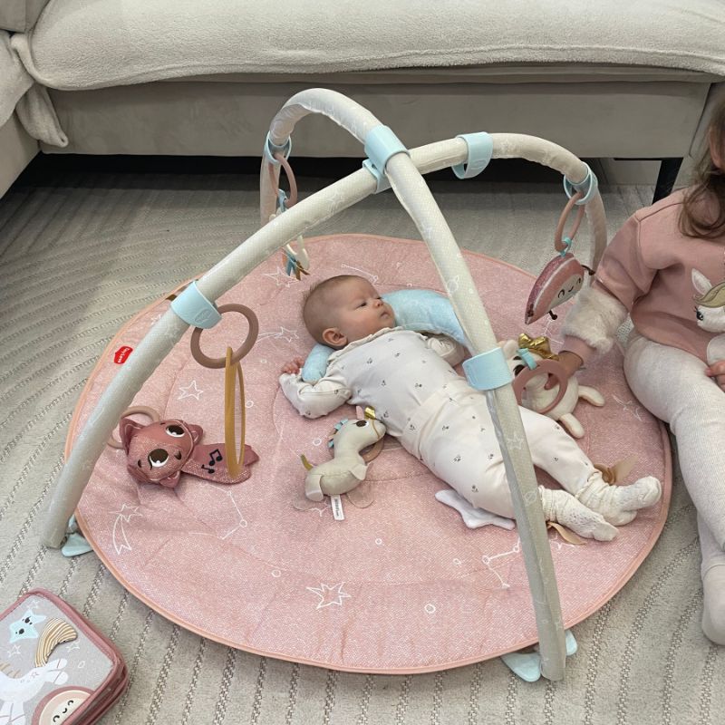 Unicorn Wonderlands Developmental Gymini | Snuggle Bugz | Canada's