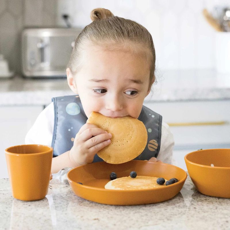 Plastic Tableware Bowl