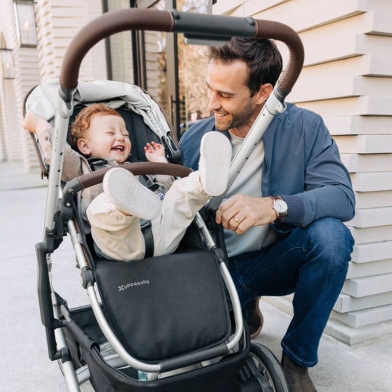 Cruz V2 Stroller