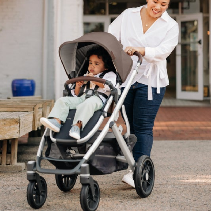 Vista V2 Stroller | Snuggle Bugz | Canada's Baby Store