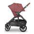 CRUZ V2 Stroller LUCY