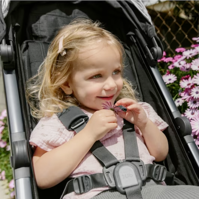 Uppababy g luxe 2024 car seat adapter