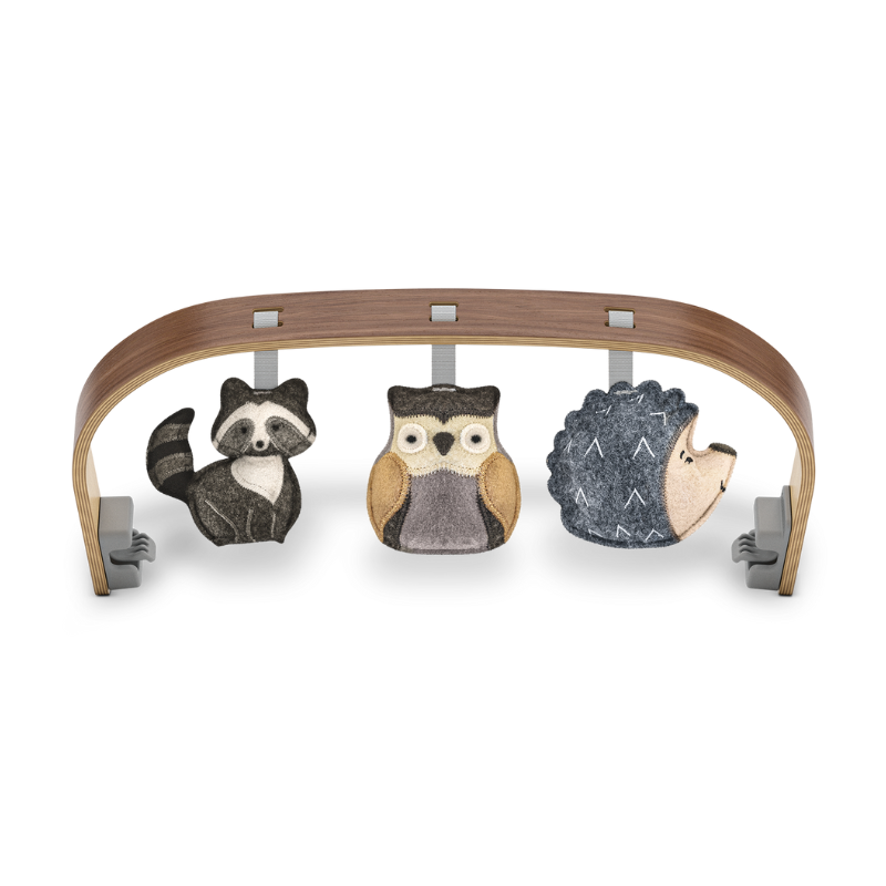 Mira 2-in-1 Bouncer and Seat + Toy Bar Bundle