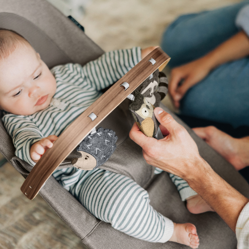 Mira 2-in-1 Bouncer and Seat + Toy Bar Bundle