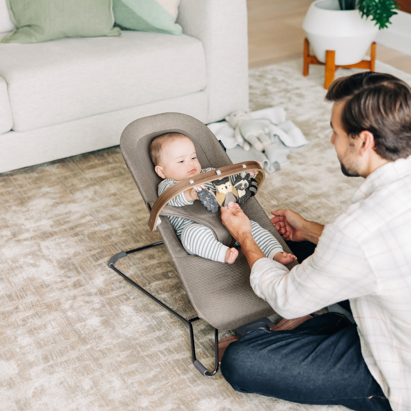 Mira 2-in-1 Bouncer and Seat + Toy Bar Bundle