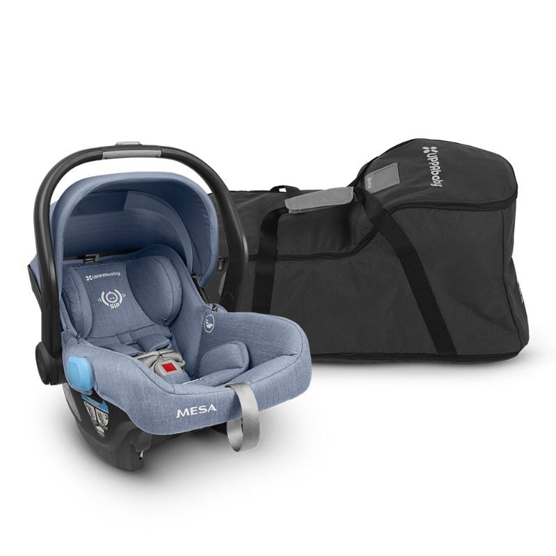 Mesa Travel Safe Bag