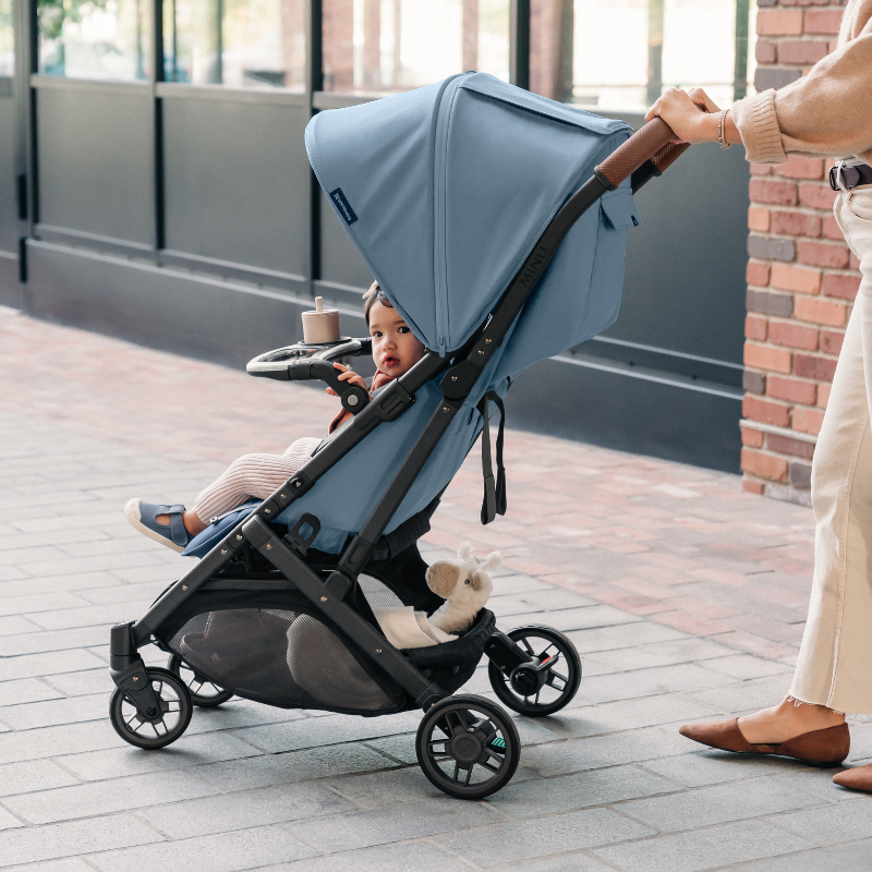 Minu snack tray shop