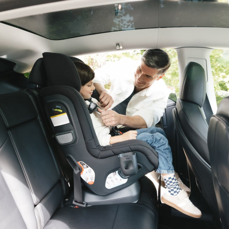 Rove Convertible Car Seat