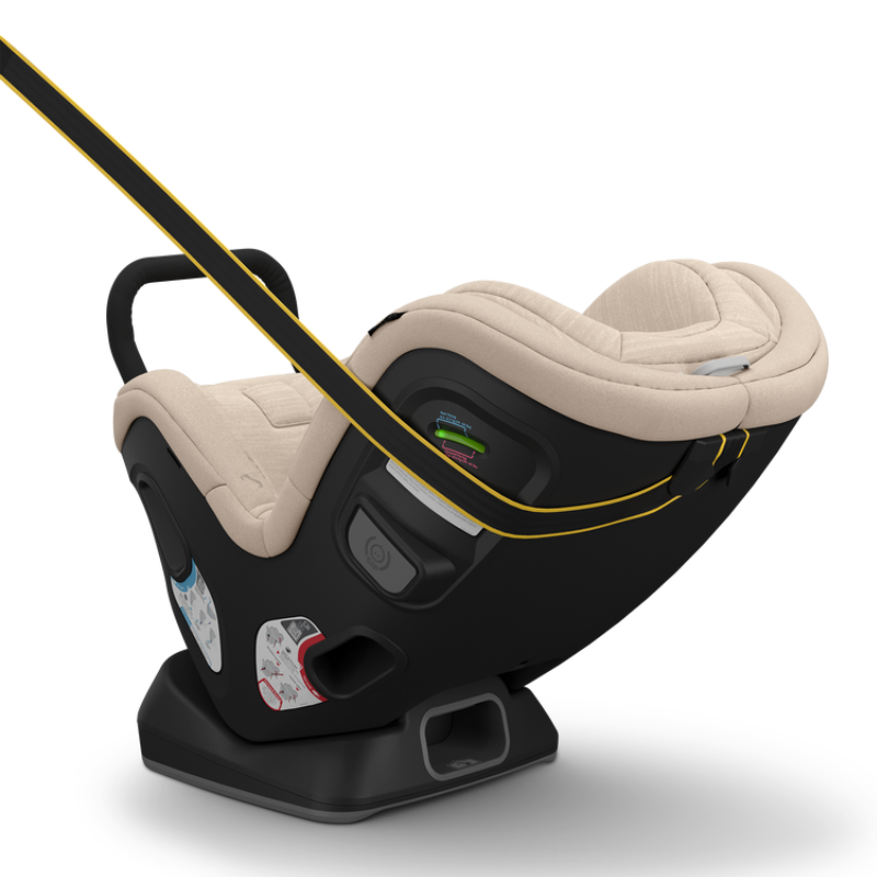 Rove Convertible Car Seat