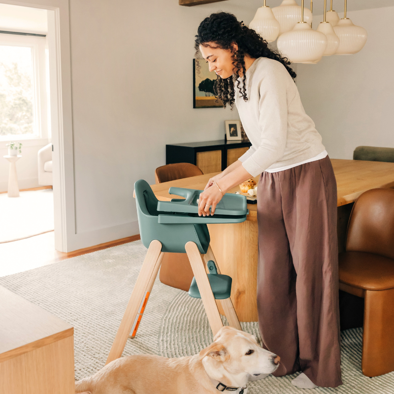 Ciro V2 High Chair