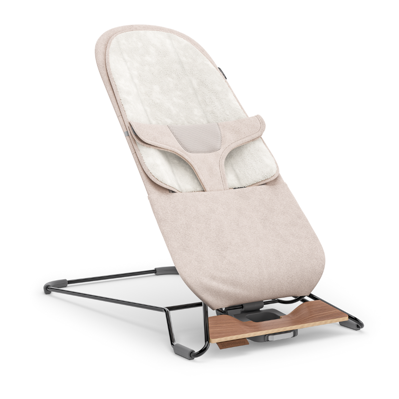 Mira 2-in-1 Bouncer and Seat