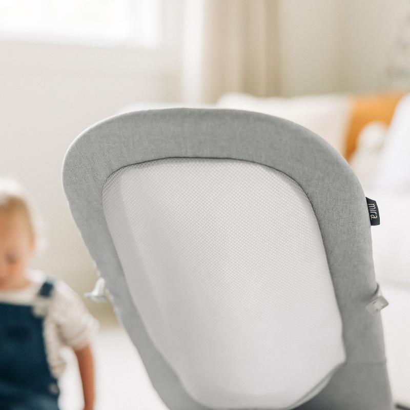 Mira 2-in-1 Bouncer and Seat