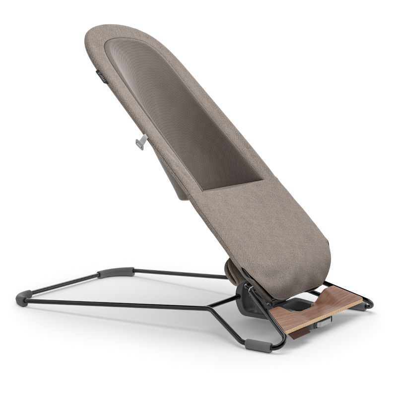 Mira 2-in-1 Bouncer and Seat