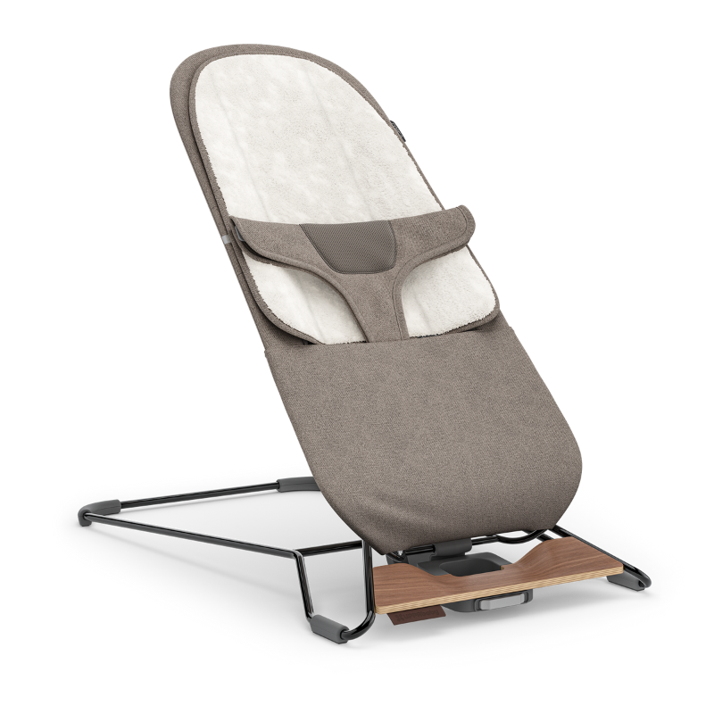 Mira 2-in-1 Bouncer and Seat