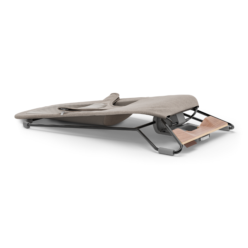 Mira 2-in-1 Bouncer and Seat