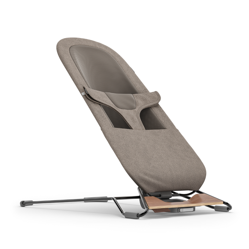 Mira 2-in-1 Bouncer and Seat