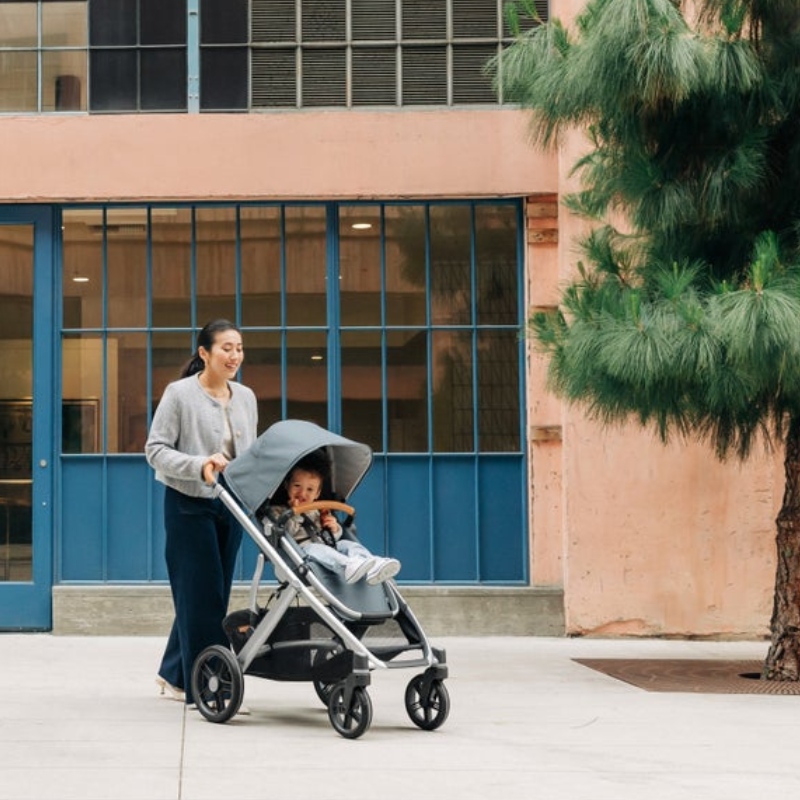 Vista V3 Stroller