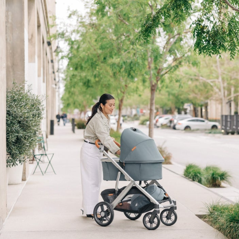 Vista V3 Stroller