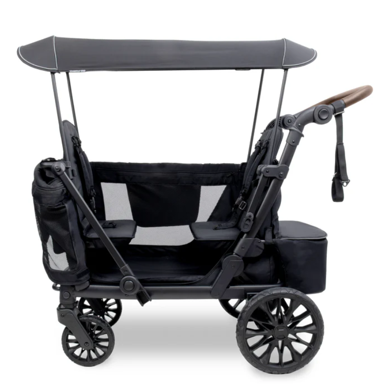 L2 Double Stroller Wagon (2 Seater)
