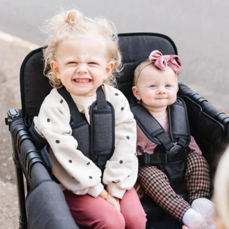 W4 Elite Push Quad Stroller Wagon