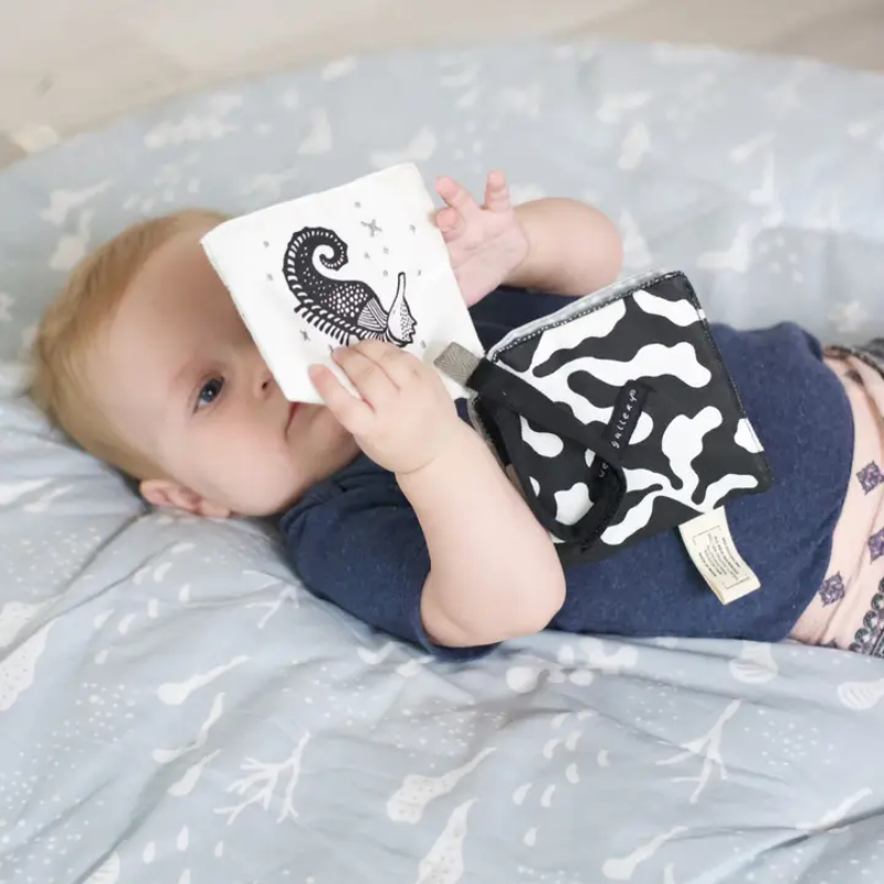 Crinkle Pages Stroller Activity Toy for Baby