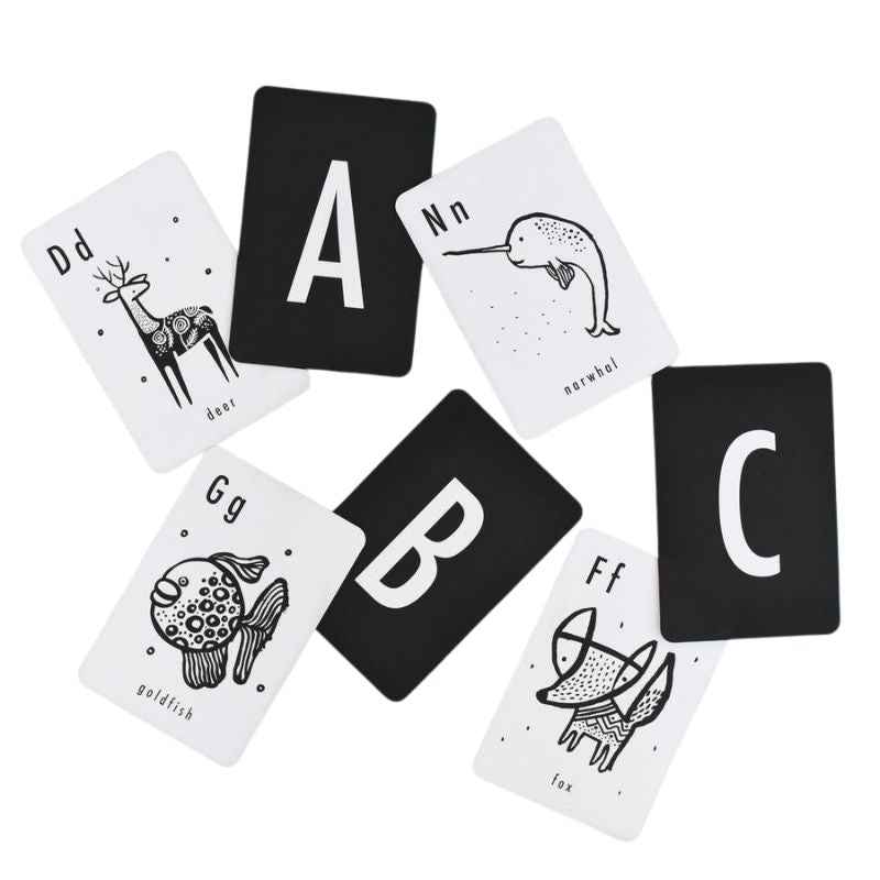 Alphabet Cards Animal
