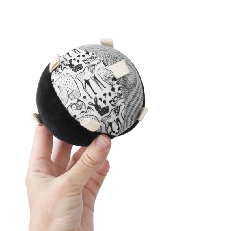 Taggy Ball With Rattle