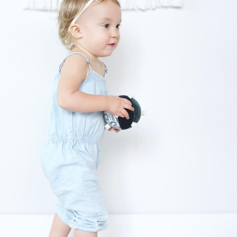 Taggy Ball With Rattle Wild