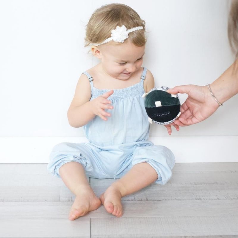 Taggy Ball With Rattle Wild