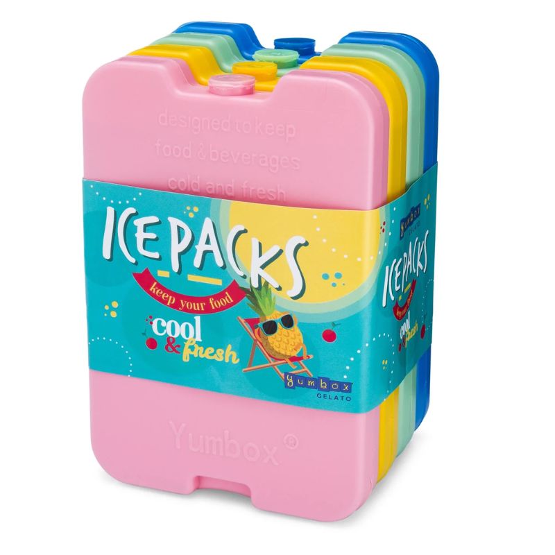 Ice Packs Set of 4 