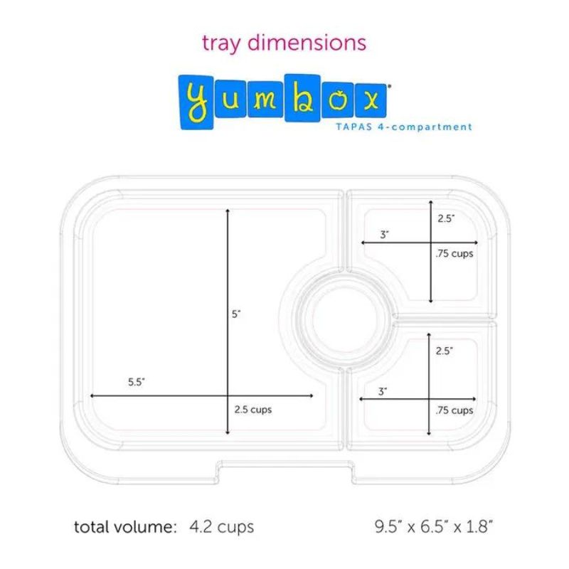 Tapas 4 Compartment Bento Lunch Box