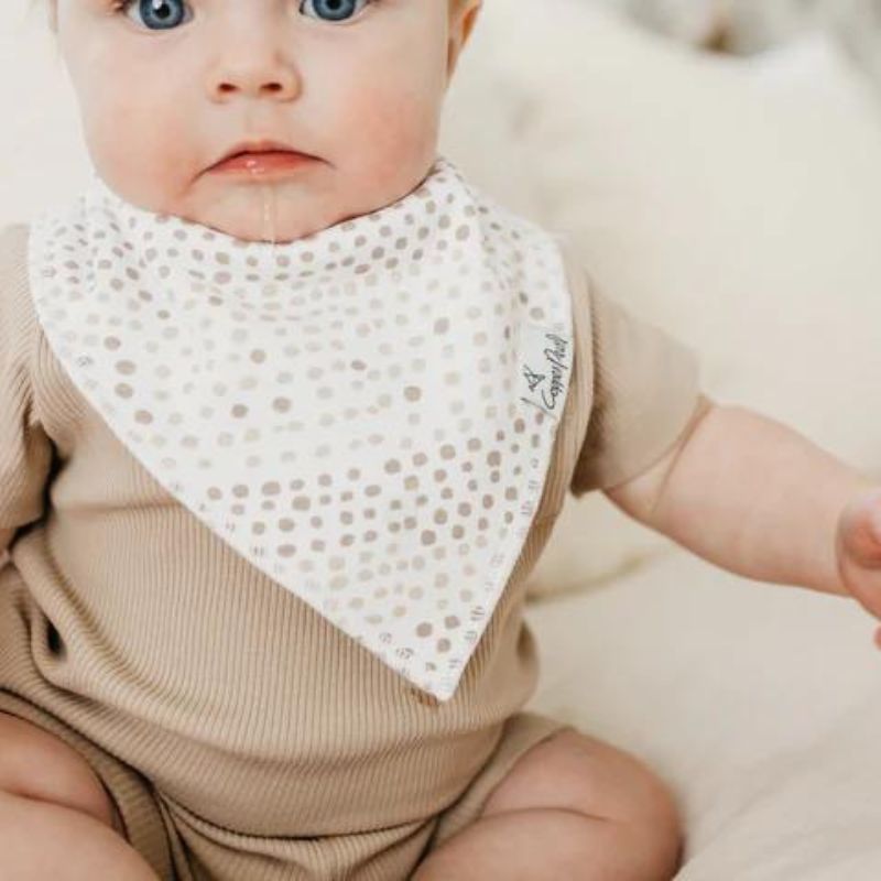 Bandana Drool Bibs - 4 Pack Bliss