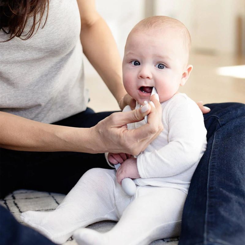 Baby-Led Toothbrush + Sensory Tongue Depressor Dual Pack